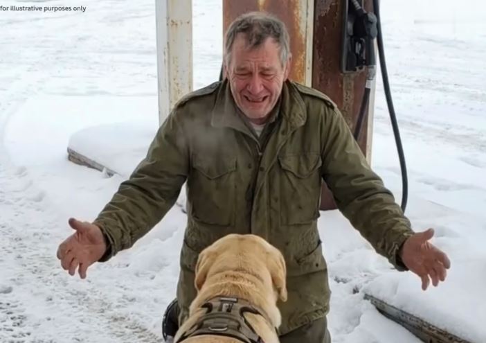 My 3-Legged Dog Recognized a Stranger Before I Did – and It Changed My Life in One Night