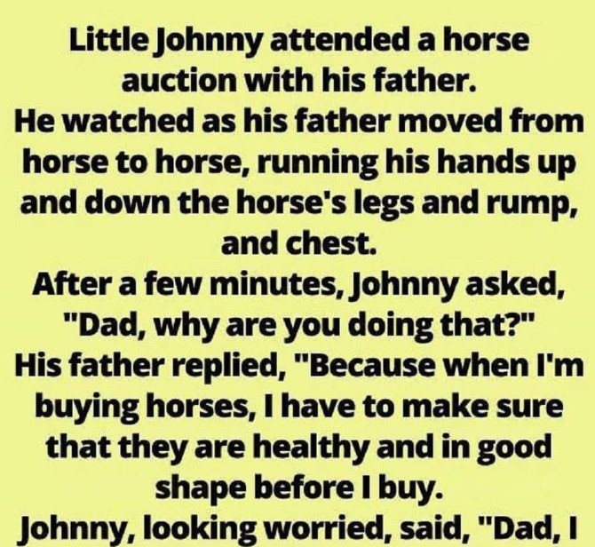 Little Johnny at the Horse Auction