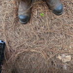 Can You Spot It? Only Sharp Eyes Will See It!