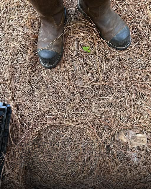 Can You Spot It? Only Sharp Eyes Will See It!