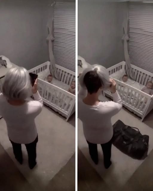 I Hired a Sweet 60-Year-Old Babysitter to Watch My Twins – Then One Night the Nanny Cam Showed Me Who She Really Was