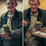 I Gave a Free Dinner to a Broke Old Man – the Next Morning, Something on My Door Made My Heart Stop