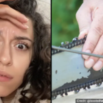 Gruesome Reason Chainsaws Were Invented