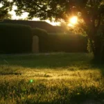 My Future SIL Ruined My Yard for Her Wedding – My Wedding Gift Left Her Speechless