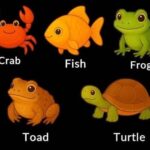 What your pick in a simple ‘odd one out’ quiz says about your thinking style and what your brain prioritizes