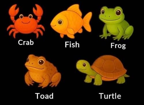 What your pick in a simple ‘odd one out’ quiz says about your thinking style and what your brain prioritizes