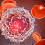 Study reveals how many times a month men need to ejaculate to help prevent cancer