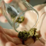 Scary side effect cannabis could have on your mind revealed in new study