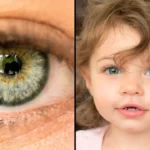 All Green-Eyed People Have This One Thing In Common
