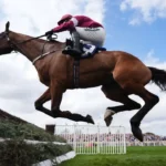 Champion Jockey Explains Why He Forced Injured Horse To Finish Race Before It Died