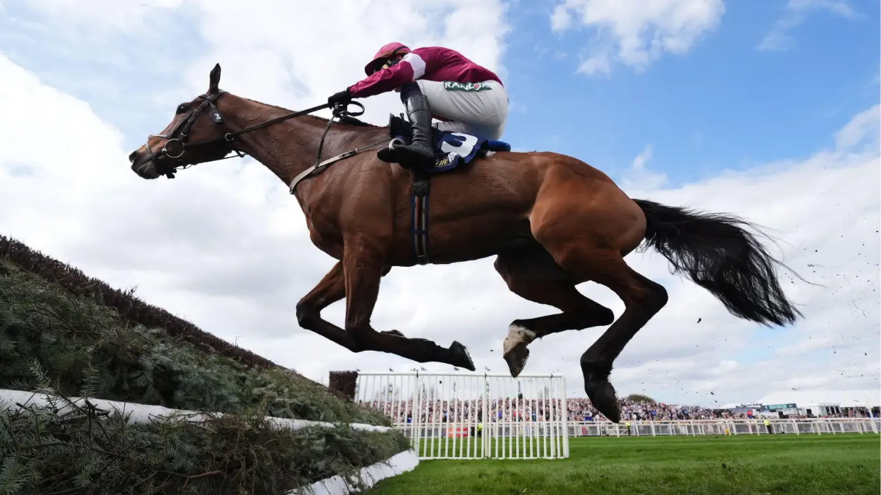 Champion Jockey Explains Why He Forced Injured Horse To Finish Race Before It Died