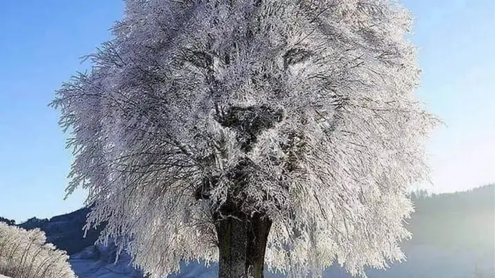 Optical Illusion Tells You Whether You’re ‘Private’ Or ‘Powerful’ Based On What You See