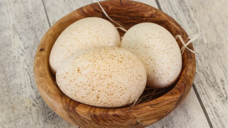 People Are Only Just Realizing Why We Don’t Eat Turkey Eggs