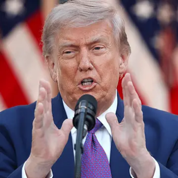 Reason why Donald Trump and sons have been granted immunity from ongoing tax audits