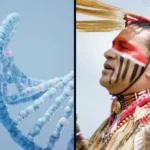 DNA Evidence Sheds New Light About Where Native Americans Came From
