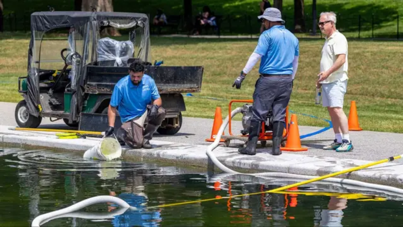 What hydrogen peroxide really did to Lincoln Memorial Reflecting Pool revealed in new aerial footage
