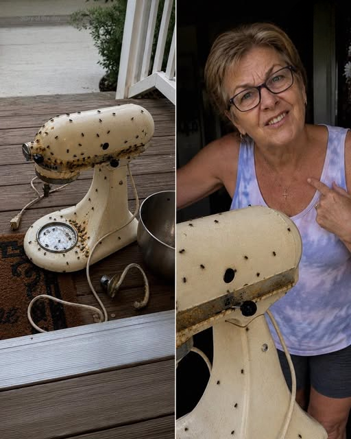My Neighbor Constantly Borrowed My Appliances – When She Returned My Mixer Dirty and Broken, I Taught Her a Lesson