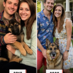 After 10 Years of Living like a Married Couple, My Partner Said He’d Never Marry Me Because It Was ‘Just a Piece of Paper’ – What I Did the Next Morning Made Him Regret Every Word