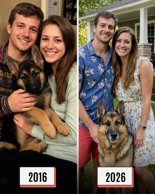 After 10 Years of Living like a Married Couple, My Partner Said He’d Never Marry Me Because It Was ‘Just a Piece of Paper’ – What I Did the Next Morning Made Him Regret Every Word