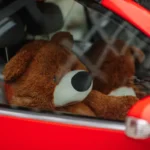 Father Looked Inside His Hoarder Neighbor’s Car After She Left It in His Driveway – What He Saw in the Back Seat Made Him Gasp