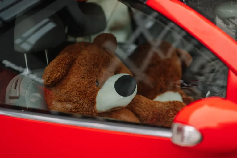 Father Looked Inside His Hoarder Neighbor’s Car After She Left It in His Driveway – What He Saw in the Back Seat Made Him Gasp