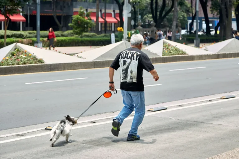 A Man Was Kicked Out of a Store for Holding His Elderly Blind Dachshund – But Minutes Later, the Store Owner Ran After Him and Asked, ‘How Long, Exactly, Have You Had This Dog?’